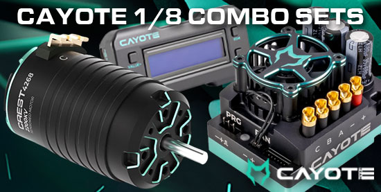 Cayote 1/8 Combo-Sets Aktion